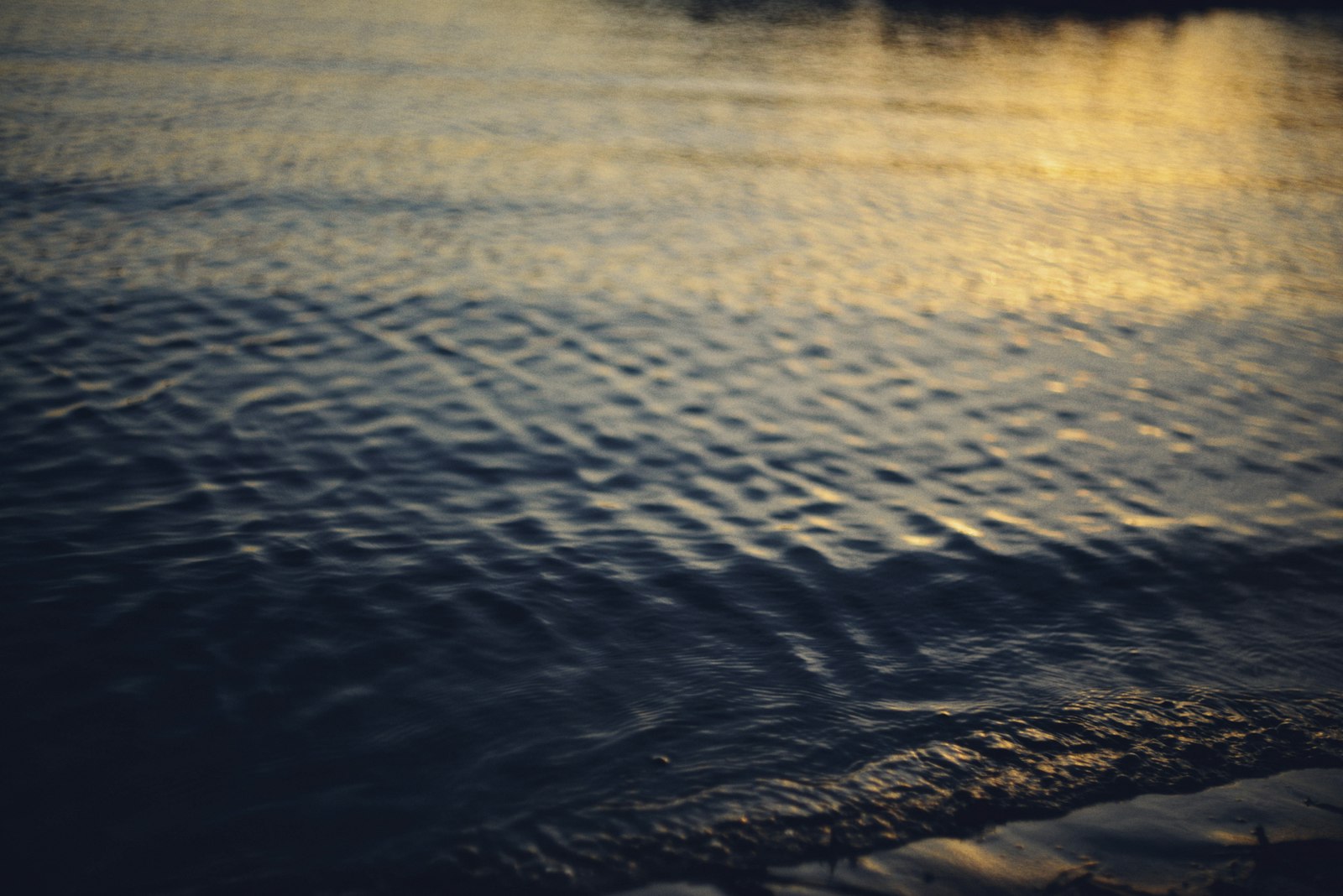Dark water carrying golden ripples — the chitta in motion, each vritti a wave that rises and refuses to settle.